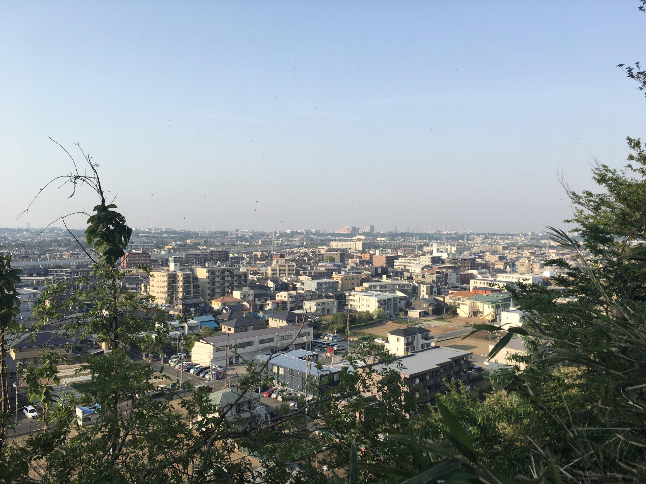 向ヶ丘遊園