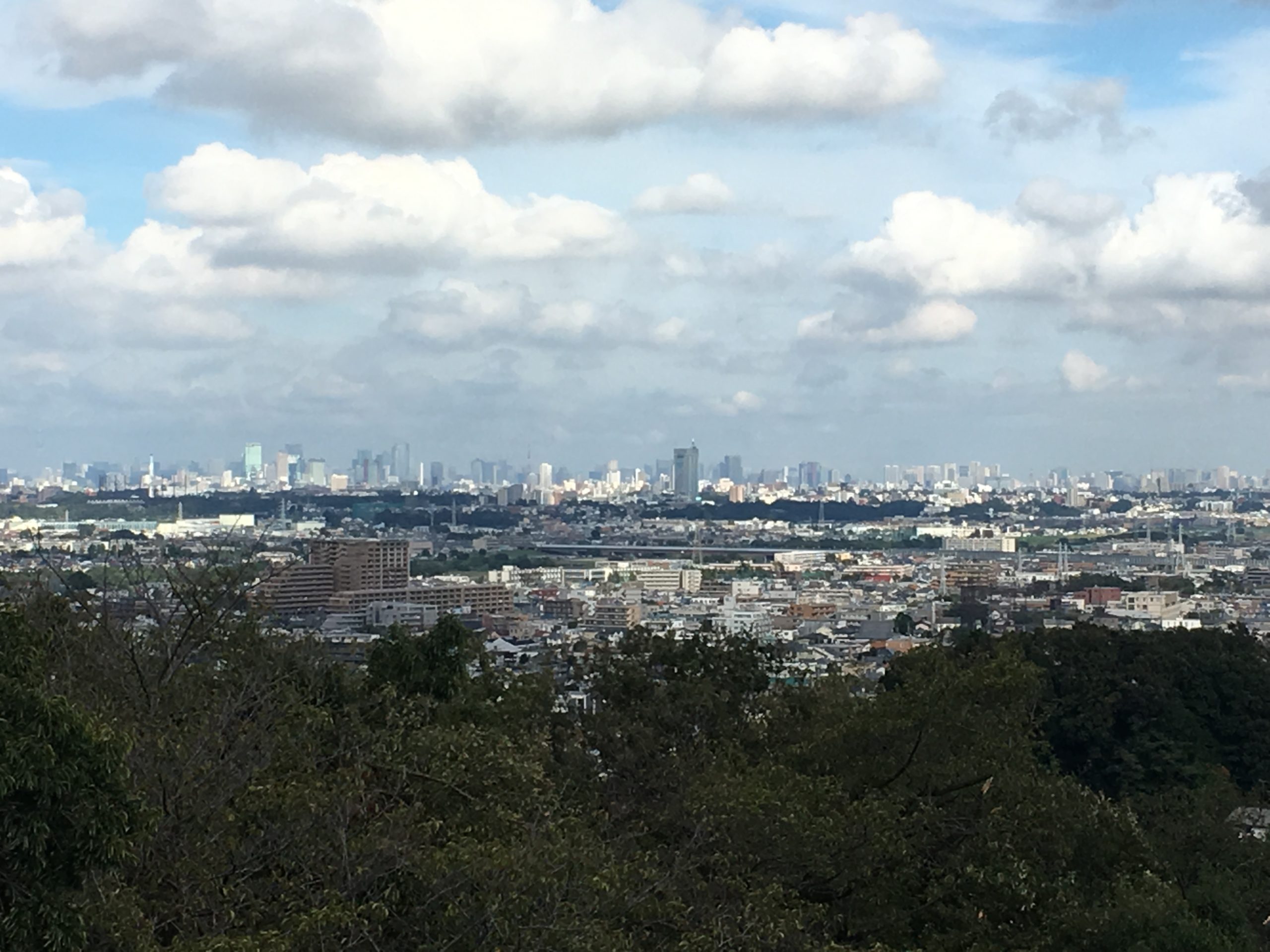 枡形山展望台からの眺め