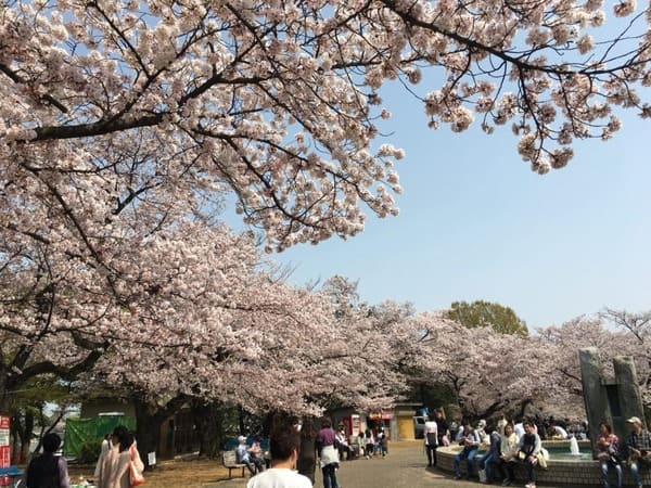 緑ヶ丘霊園