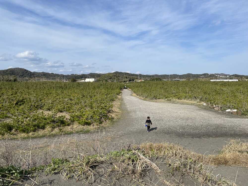 リキャンプ（RECAMP）館山